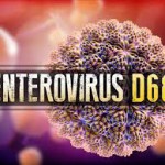 enterovirus d68